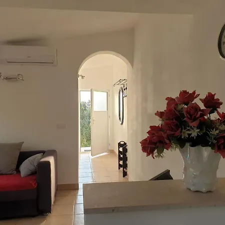 Apartment Olea