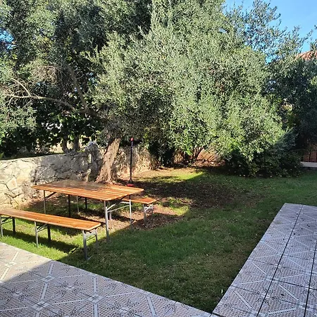 Olea