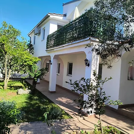 Olea