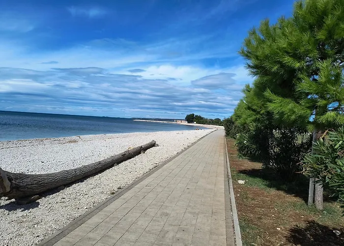 Olea *