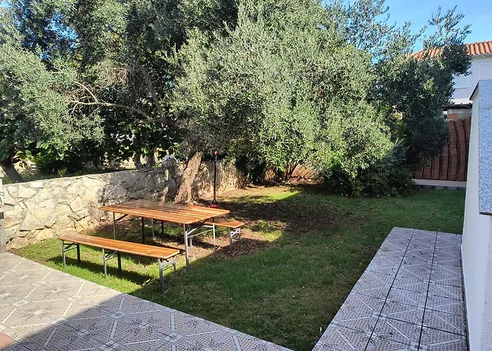 Olea