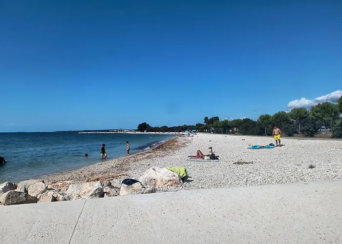 Apartament Olea